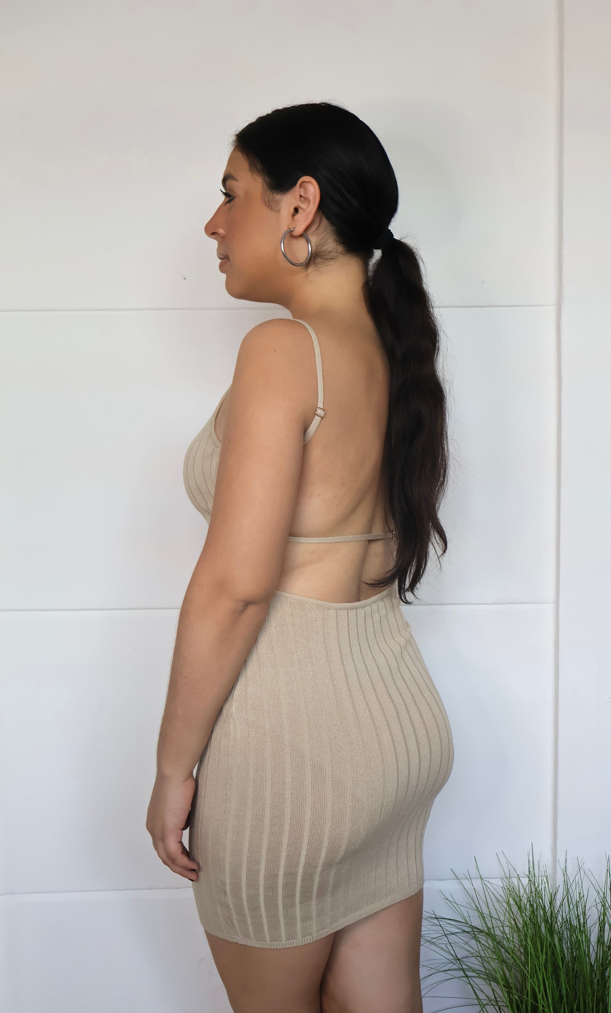 Little Nude Dress – INSOUT STUDIO